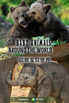 动物宝贝世界