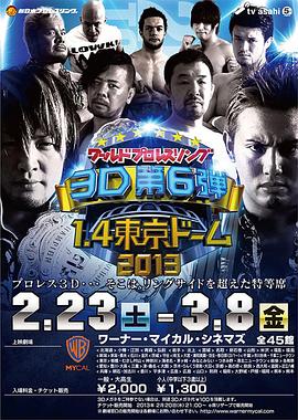 ワールドプロレスリング3D第6弾1.4東京ドーム2013