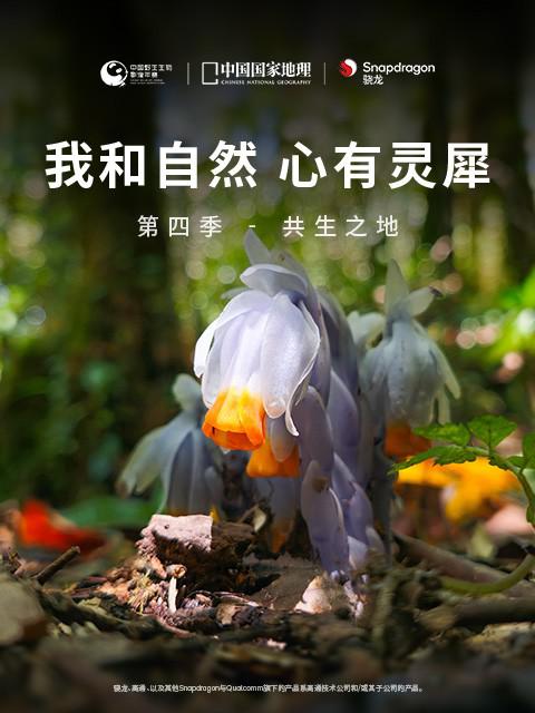 (我和自然心有灵犀)第四季-共生之地