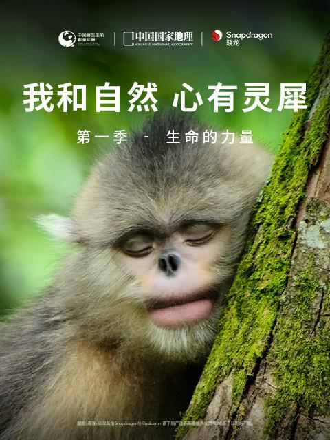 (我和自然心有灵犀)第一季-生命的力量