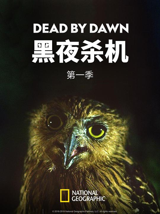 黑夜杀机第一季